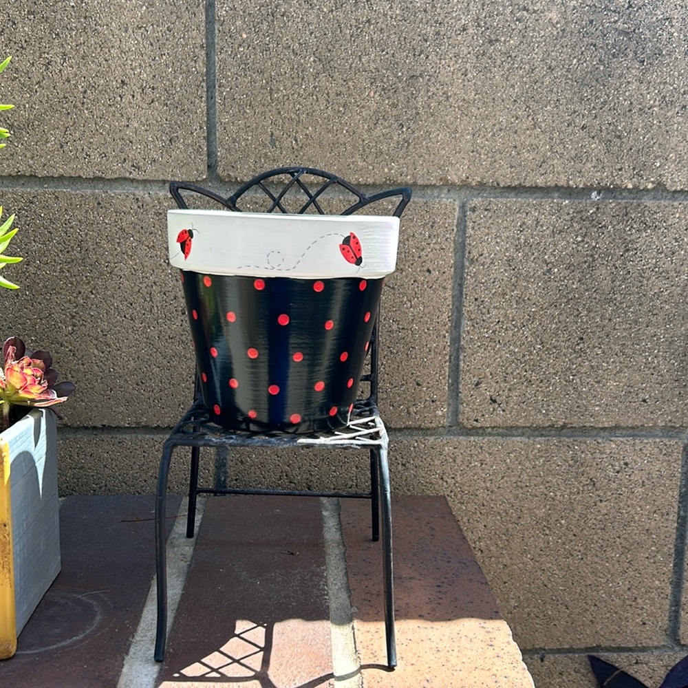 New Butterfly plant pot